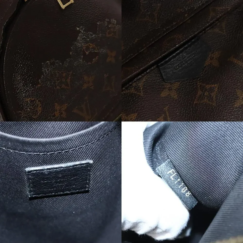 Louis Vuitton Monogram Palm Springs PM Backpack Brown